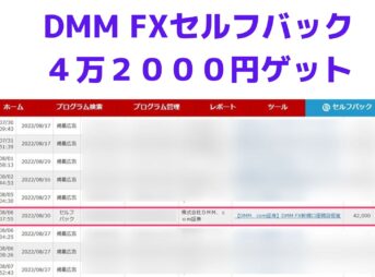 DMM FXのセルフバックで４万２０００円ゲット