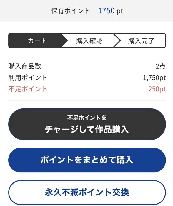 足りない分のみポイント購入もできる