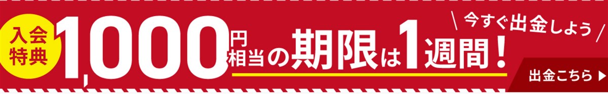 ビッコレの新規登録で１０００円相当のポイントが漏れなく貰える