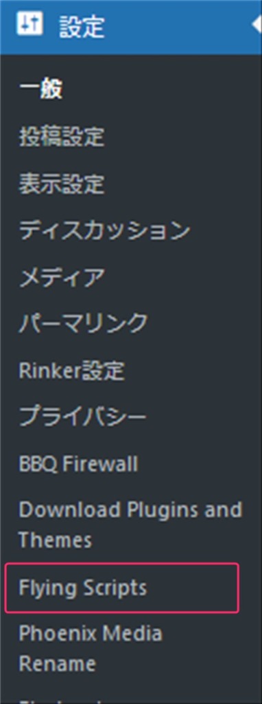 設定メニュー内のFlying Scriptsを選択する