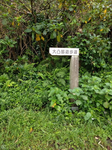 大凸部遊歩道看板