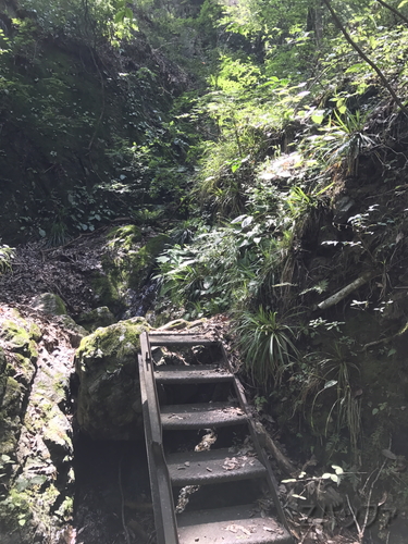 山水が流れる奥多摩の景色