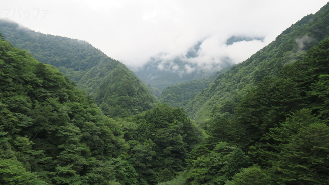 関の沢橋梁からの景色