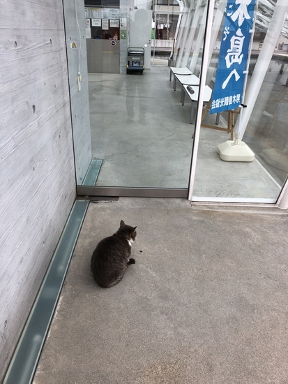 男木島の魂」の前で観光客を出待ちする猫