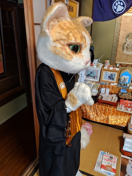 猫猫寺の巨大な羊毛フェルト