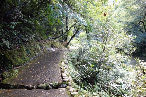 鶴仙渓遊歩道 鶴仙渓遊歩道