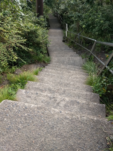 鋸山の上り道