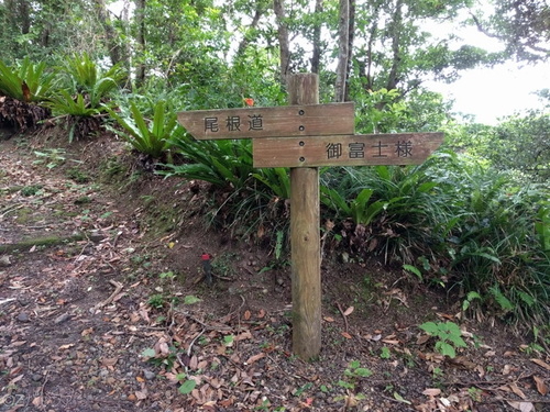 丸山遊歩道