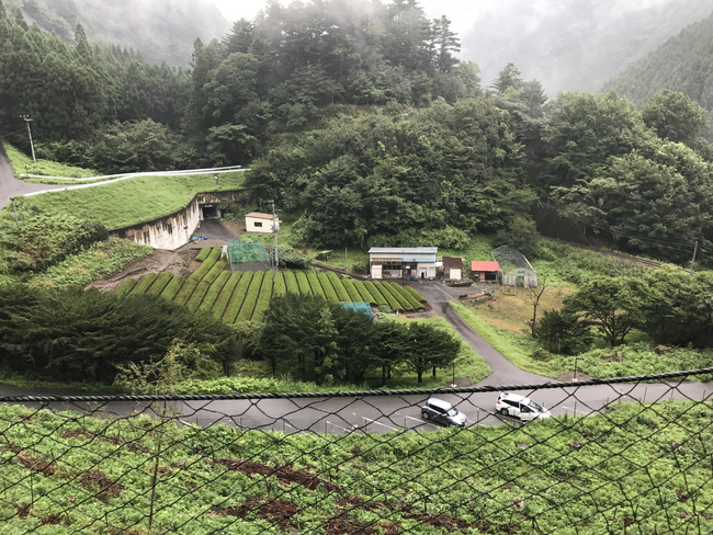 奥大井湖上駅近くにある車の駐車場