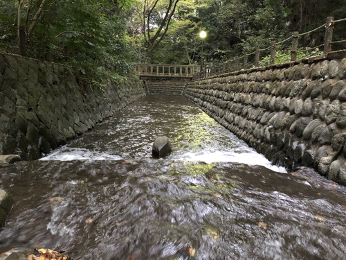 川の上からの等々力渓谷