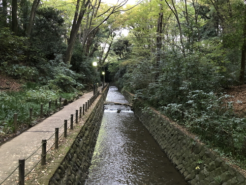 等々力渓谷の景観