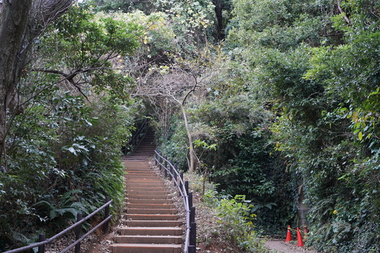 猿島内部は自然が豊富