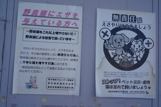 猫に対して餌を与えないよう注意喚起するポスター