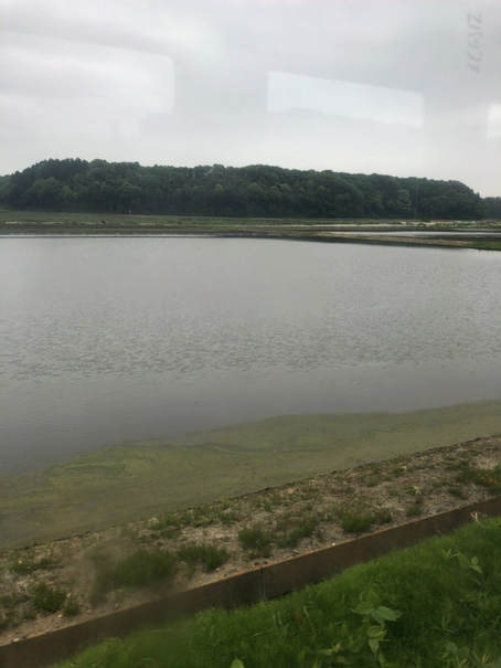 ひたちなか海浜鉄道の車窓