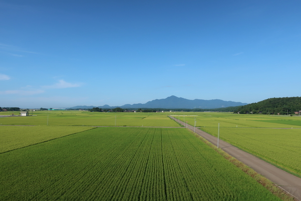 くびき駅から見える畑の景色