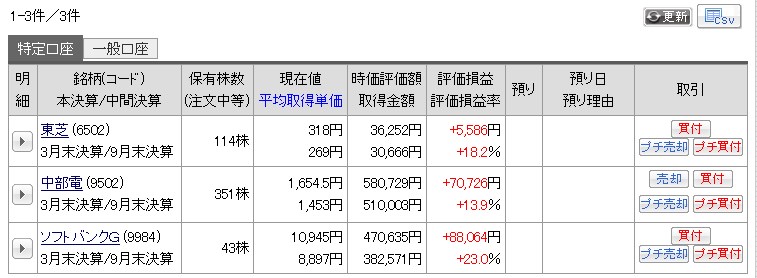 カブドットコム証券のプチ株で買い付けた銘柄の投資結果