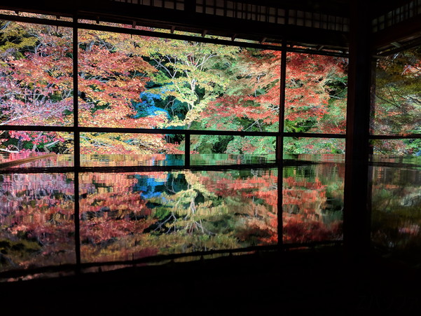 瑠璃光院の紅葉ライトアップ