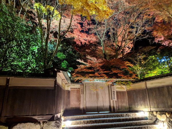 瑠璃光院の門前からライトアップされた景色