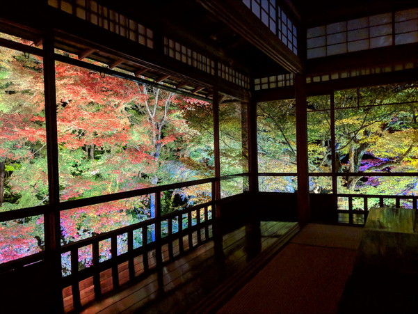 瑠璃光院の有名な紅葉ライトアップ景色