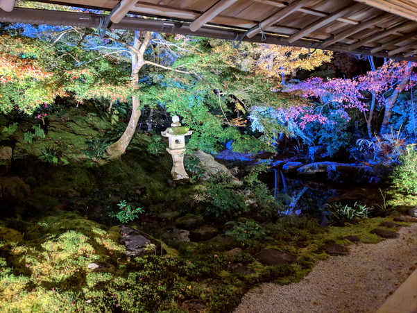 ライトアップされた瑠璃光院の庭園