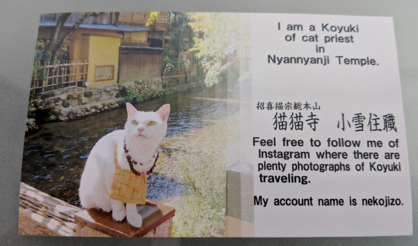 猫猫寺小雪住職の名刺