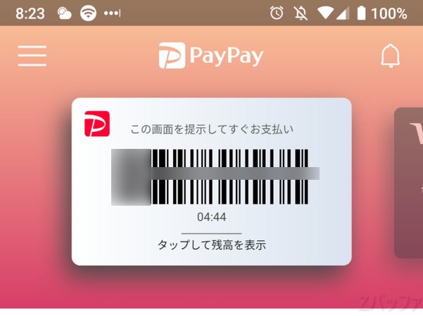 PayPayの残高から支払う場合