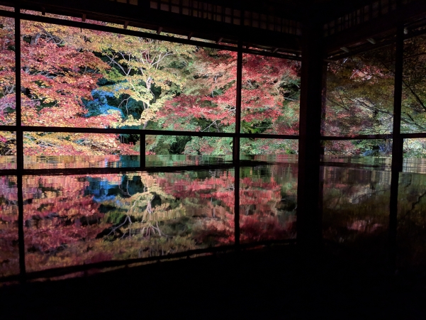 Pixel 3の夜景モードで撮影した瑠璃光院の紅葉夜景