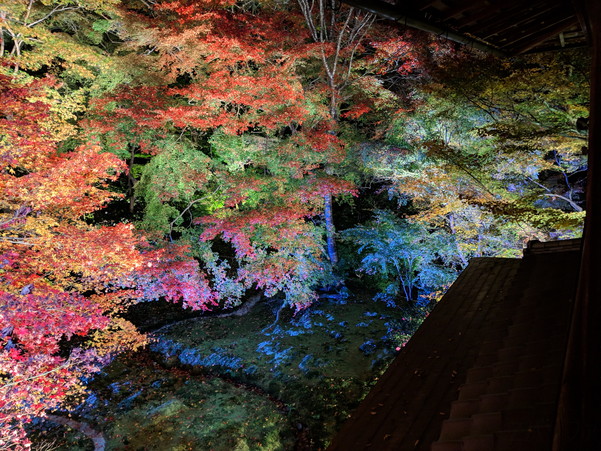 Pixel 3の夜景モードで撮影した京都瑠璃光院の紅葉