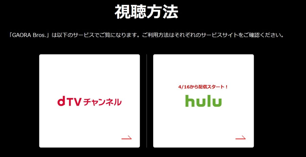 GAORAはhuluとdTVチャンネルで視聴できる